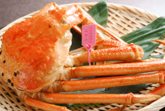 冬の味覚　松葉ガニの茹で
