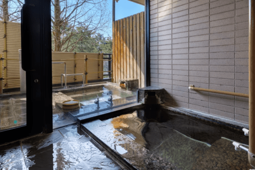 [Phoenix Wing] Special room/Japanese-style bed (example of room)