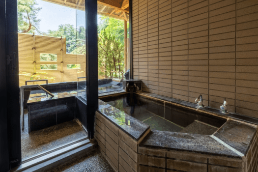 [Phoenix Wing] VIP room/Japanese-Western style room