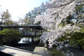 There is a Japanese garden on the premises where you can enjoy the four seasons of Japan.