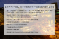 オールインクルーシブルに含まれる内容はこちら