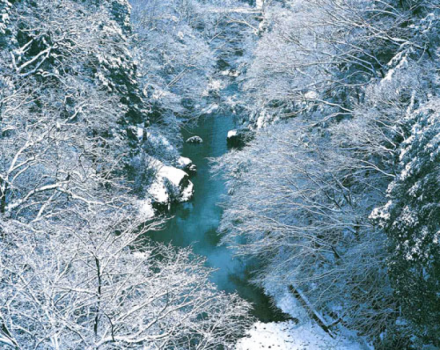 【年末年始】花紫で迎える特別なひととき！温泉と笑顔で囲む「行く年、来る年」