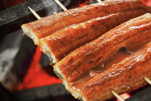 【1日2組限定】復活の「能登うなぎ」付き懐石プラン＜料理長おまかせ懐石＞