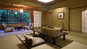 Authentic Japanese Room