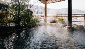 Winter Special Offer &ndash; Stay Longer & Save More (Up to 20% Off)