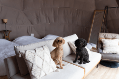 オーシャンドーム