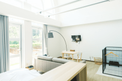 【／With Dogs・0号室（48㎡）】リビングスペース、ベッド、キッチンからなる0号室。