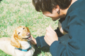 【／With Dogs・ドッグラン】散歩コースを楽しんだ後はドッグランエリアで愛犬と遊ぼう！
