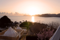 コットンテント