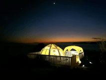 コットンテント