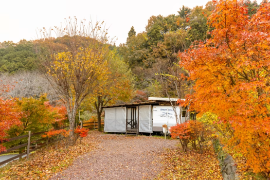 ソロキャンプ応援キャンペーン(11月1日～12月26日)　【アメリカントレーラーハウス・コテージ】