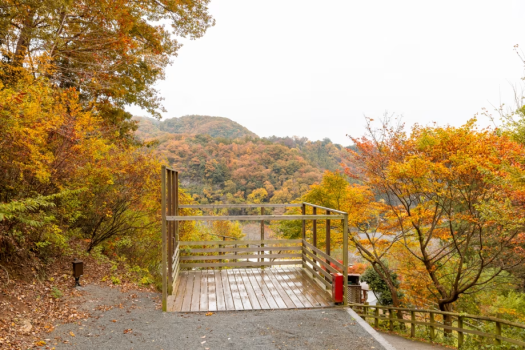 ソロキャンプ応援キャンペーン【テントサイト】