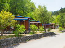 ウッドスタンダード