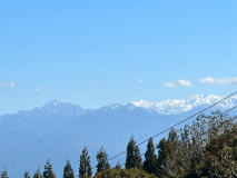 キャンプサイト【エリア：B】