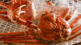 松葉ガニゆで（お食事の際はさばいてお出しします）