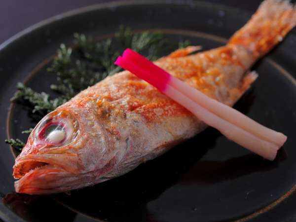 【のどぐろ】上品な脂ののったのどぐろを塩焼きで食す! 【のどぐろ】上品な脂ののったのどぐろを塩焼きで食す!