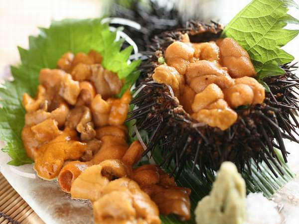 旨味充分なしっかりした身を味わえるウニは貴重です。 旨味充分なしっかりした身を味わえるウニは貴重です。