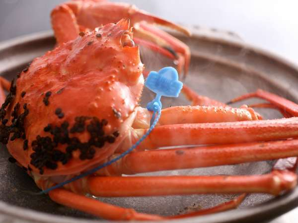 【松葉ガニの踊り焼き】当館オリジナルの食し方。松葉ガニをそのまま踊り焼きに。 【松葉ガニの踊り焼き】当館オリジナルの食し方。松葉ガニをそのまま踊り焼きに。