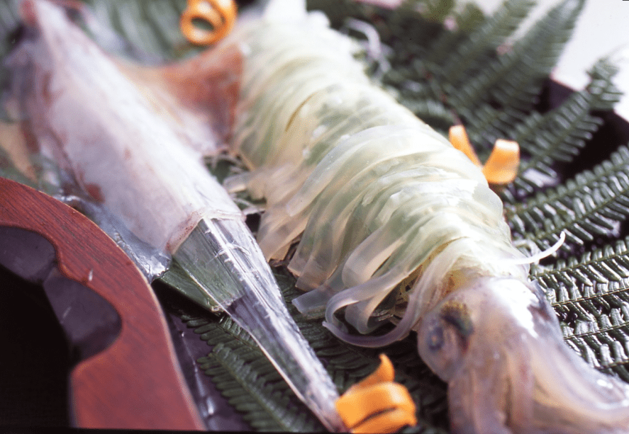 活イカのお造り