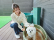 客室備え付けの露天風呂にはわんちゃん用の可愛らしい湯船も！わんちゃんも秋保温泉を堪能できる
