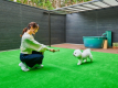 お部屋には愛犬専用ドッグラン&露天風呂付き！気兼ねなくアクティブ&リラックス