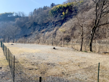 ドッグランサイト【スタンダード】