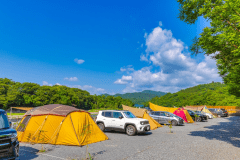 スタンダードサイト