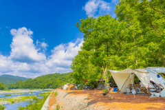 レンガチップサイト