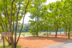 レンガチップサイト【ペット不可】