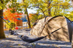 ハンモックサイト【ペット不可】