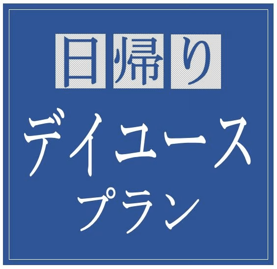 【朝9時IN～18時OUT】デイユースで格安！テレワーク応援プラン【素泊り】