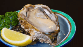 【期間限定】海の恵み「岩牡蠣」と秋田由利牛を味わう！ 日本海の温泉宿で夏の満腹旅！＜1泊2食付＞