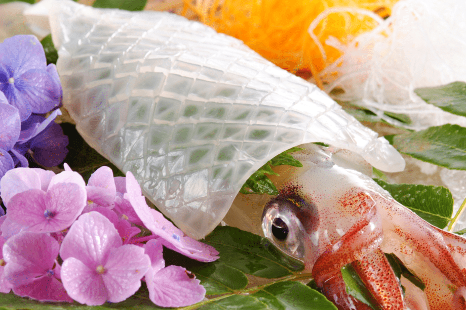 【活イカ】夏限定◆コリコリした食感が堪らない活白イカ！