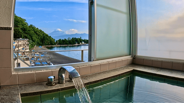 【大瀬崎みらいにつなぐ債 ～投資家特典プラン～】《伊豆ジビエのフレンチハーフコース》自然の恵みの有難みを嗜む伊豆旅 ＜2食付き＞