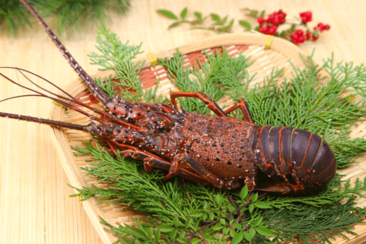 年末年始_お食事イメージ 年末年始_お食事イメージ