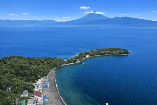 空から見た夏の大瀬崎