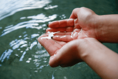 【お風呂】源泉直結あふれでる恵みの湯
