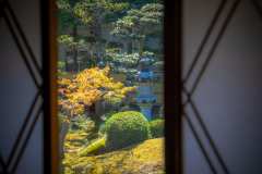 【お部屋】お庭の眺めの良い12畳客室からゆったりと苔庭を愛でる。