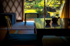 【お部屋】お庭の眺めの良い12畳客室からゆったりと苔庭を愛でる。