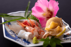 【お造り】丹後の地魚を使用したお造り。