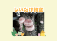 しいたけ教室
