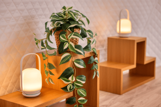 私人森林圓頂屋〈4床〉