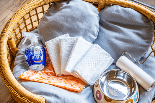 【わんちゃん連れプラン】3月・4月限定！～春のわんちゃん専用3大特典付きプラン～