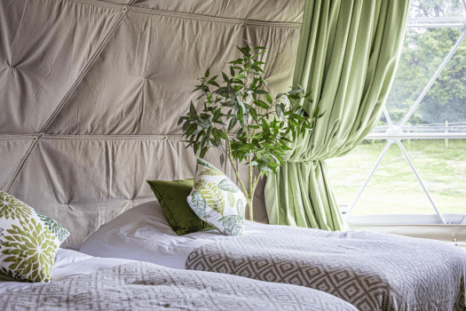 【ご利用人数が多いほどお得】【連泊はこちらから】お食事を自由に選べる！2泊以上の連泊専用プラン【グランピング＆アトラクション】