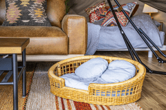 🐾わんちゃん同伴限定🐶🐾ドッグコクーン＜ドッグラン付き＞