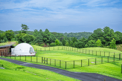 🐾わんちゃん同伴限定🐶🐾ドッグドーム＜ドッグラン付き＞