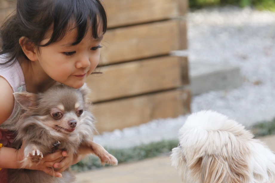 お子様も大好きなペットちゃんと一緒に楽しめるドッグラン