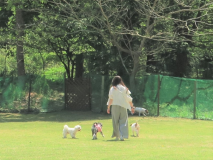 【特別室に泊まる】ちょっと贅沢な休日★ペットちゃんとのんびり温泉旅行♪ 【特別室に泊まる】ちょっと贅沢な休日★ペットちゃんとのんびり温泉旅行♪