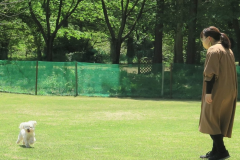 【ペット（愛犬・愛猫）との一人旅】自由気ままに楽しもう！《1人旅にやさしい宿》～お食事処（1泊2食つき）