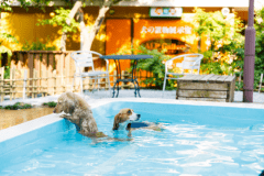 【HP限定】15％OFF！レイニーシーズン特別プラン～お部屋食（スタンダード）